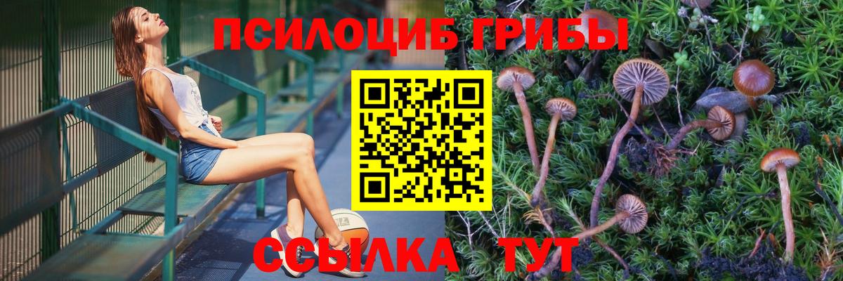 Псилоцибиновые грибы Cubensis  Псилоцибиновые грибы MAGIC MUSHROOMS  Берёзовский  Вход с VPN 
